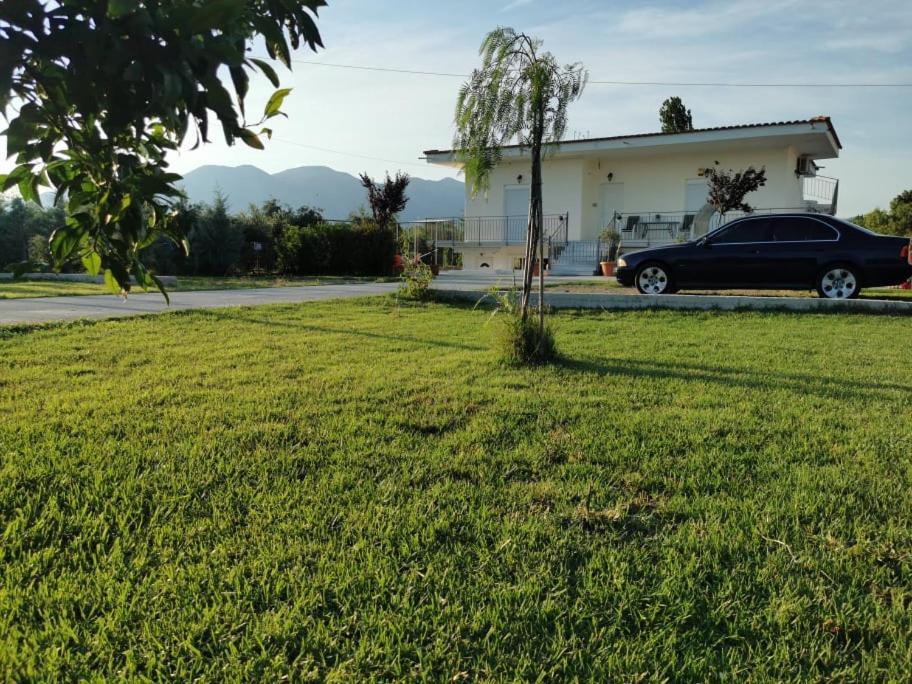 Villa Filoxenia Amarynthos Zewnętrze zdjęcie